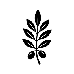 Todo Olivos